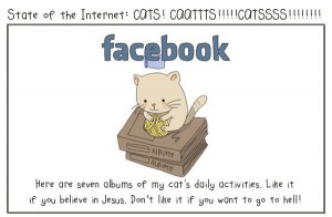 facebook-cat