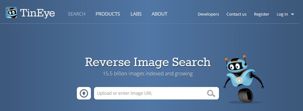Tineye поиск по фотографии